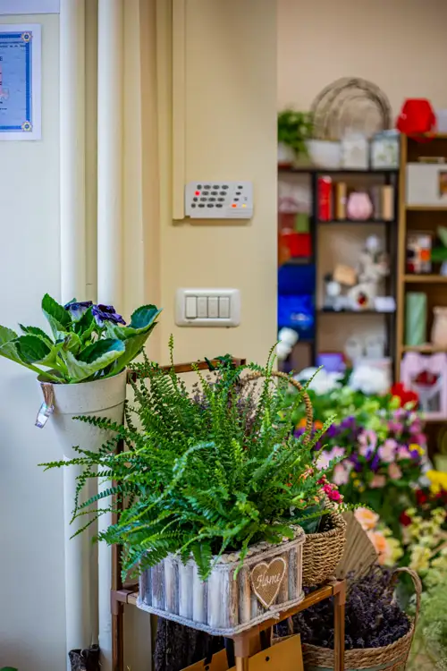 Colț cu plante și aranjamente lângă intrarea în magazin