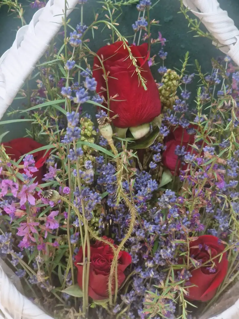 Ocazie Specială